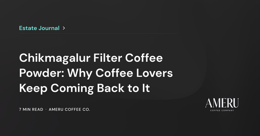 Chikmagalur Filter Coffee Powder: Why Coffee Lovers Keep Coming Back to It